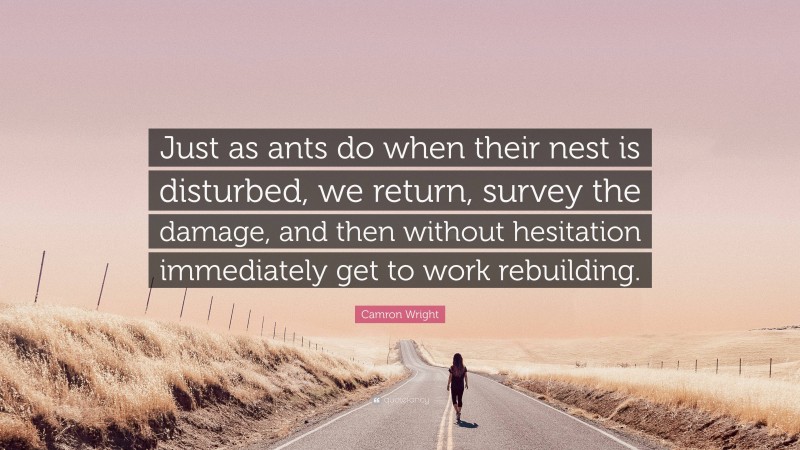 Camron Wright Quote: “Just as ants do when their nest is disturbed, we return, survey the damage, and then without hesitation immediately get to work rebuilding.”