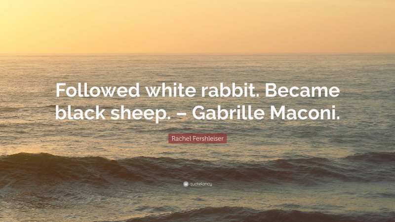 Rachel Fershleiser Quote: “Followed white rabbit. Became black sheep. – Gabrille Maconi.”
