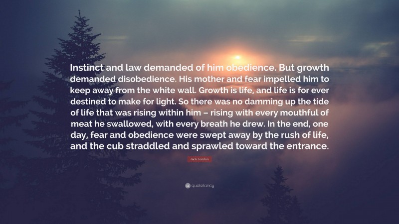 Jack London Quote: “Instinct and law demanded of him obedience. But growth demanded disobedience. His mother and fear impelled him to keep away from the white wall. Growth is life, and life is for ever destined to make for light. So there was no damming up the tide of life that was rising within him – rising with every mouthful of meat he swallowed, with every breath he drew. In the end, one day, fear and obedience were swept away by the rush of life, and the cub straddled and sprawled toward the entrance.”