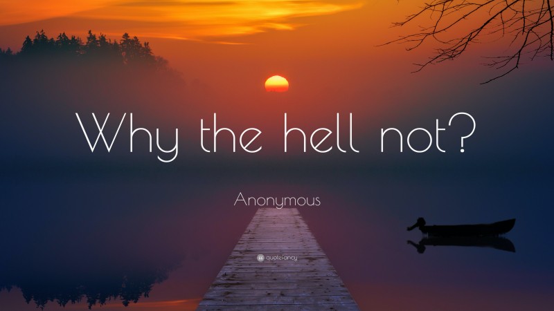 Anonymous Quote: “Why the hell not?”