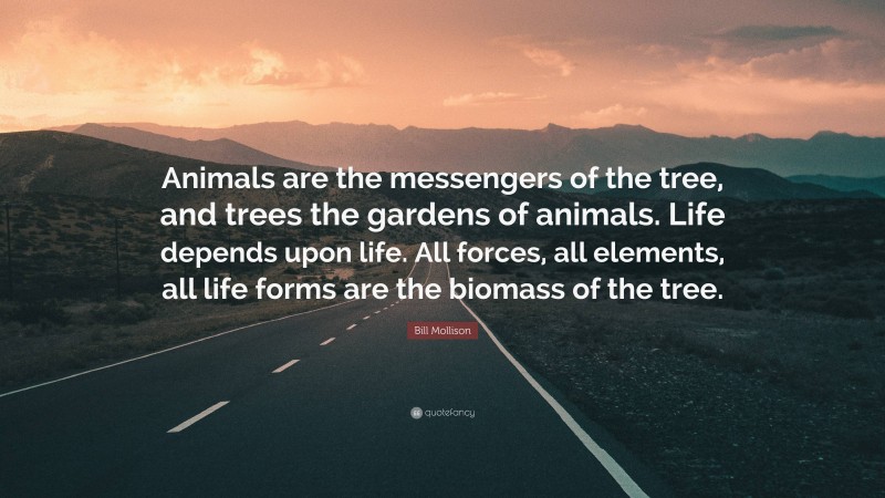 Bill Mollison Quote: “Animals are the messengers of the tree, and trees the gardens of animals. Life depends upon life. All forces, all elements, all life forms are the biomass of the tree.”