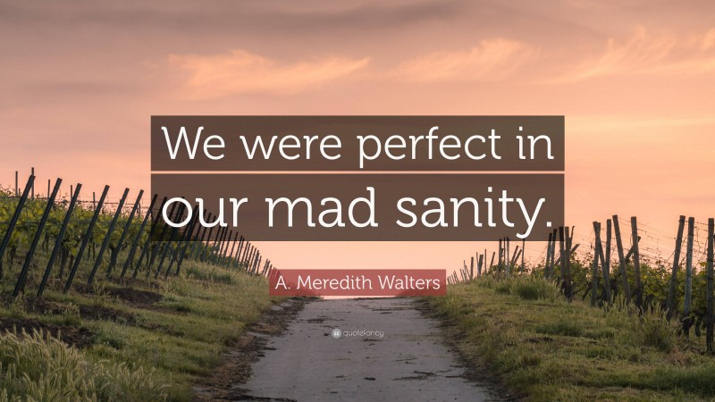 A. Meredith Walters Quote: “We were perfect in our mad sanity.”