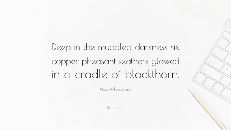 Helen Macdonald Quote: “Deep in the muddled darkness six copper pheasant feathers glowed in a cradle of blackthorn.”