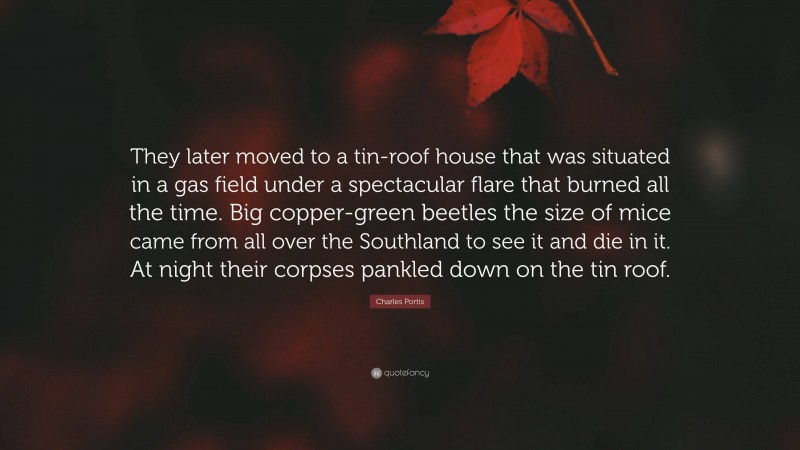 Charles Portis Quote: “They later moved to a tin-roof house that was situated in a gas field under a spectacular flare that burned all the time. Big copper-green beetles the size of mice came from all over the Southland to see it and die in it. At night their corpses pankled down on the tin roof.”