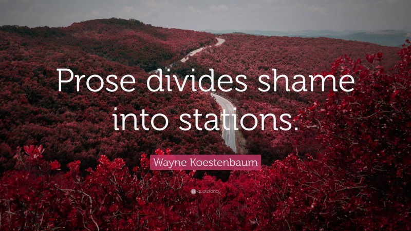 Wayne Koestenbaum Quote: “Prose divides shame into stations.”