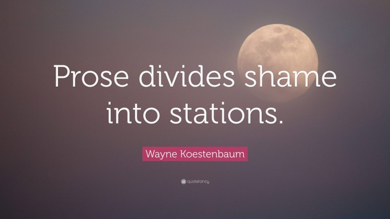 Wayne Koestenbaum Quote: “Prose divides shame into stations.”