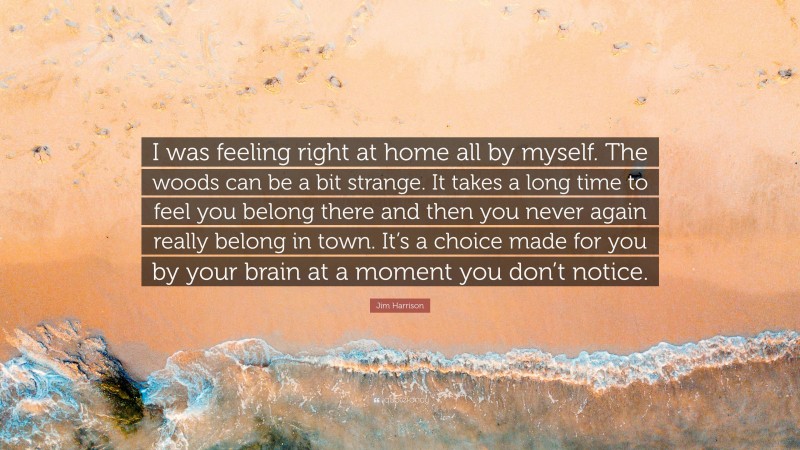 Jim Harrison Quote: “I was feeling right at home all by myself. The woods can be a bit strange. It takes a long time to feel you belong there and then you never again really belong in town. It’s a choice made for you by your brain at a moment you don’t notice.”