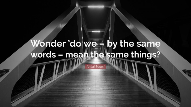 Ahdaf Soueif Quote: “Wonder ’do we – by the same words – mean the same things?”