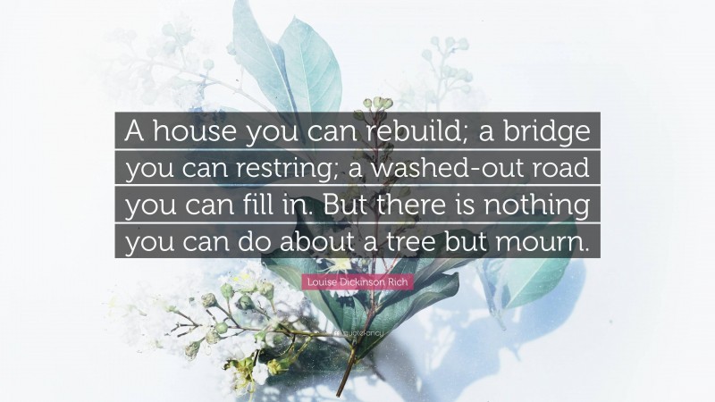 Louise Dickinson Rich Quote: “A house you can rebuild; a bridge you can restring; a washed-out road you can fill in. But there is nothing you can do about a tree but mourn.”