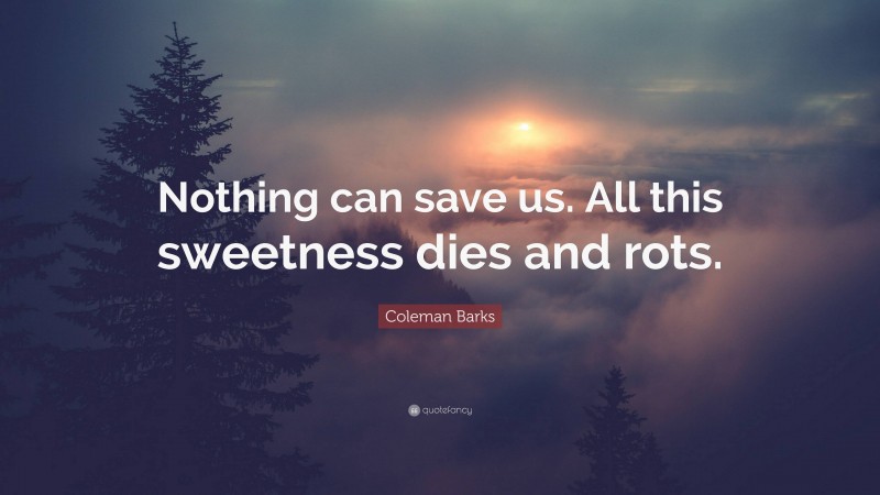 Coleman Barks Quote: “Nothing can save us. All this sweetness dies and rots.”