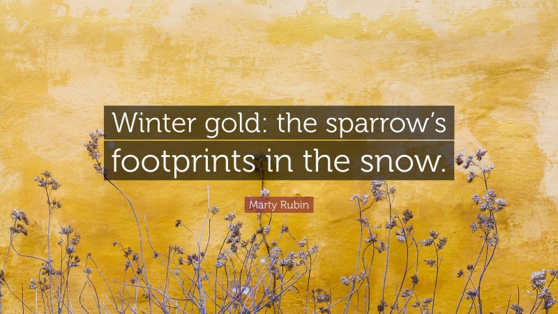 Marty Rubin Quote: “Winter gold: the sparrow’s footprints in the snow.”