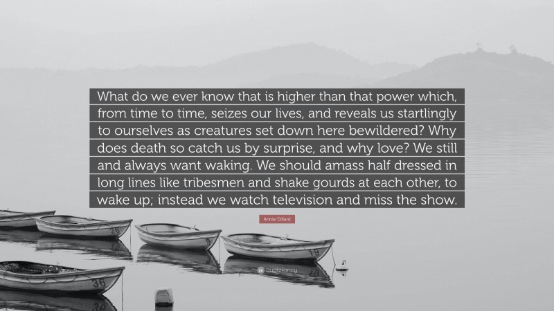 Annie Dillard Quote: “What do we ever know that is higher than that power which, from time to time, seizes our lives, and reveals us startlingly to ourselves as creatures set down here bewildered? Why does death so catch us by surprise, and why love? We still and always want waking. We should amass half dressed in long lines like tribesmen and shake gourds at each other, to wake up; instead we watch television and miss the show.”