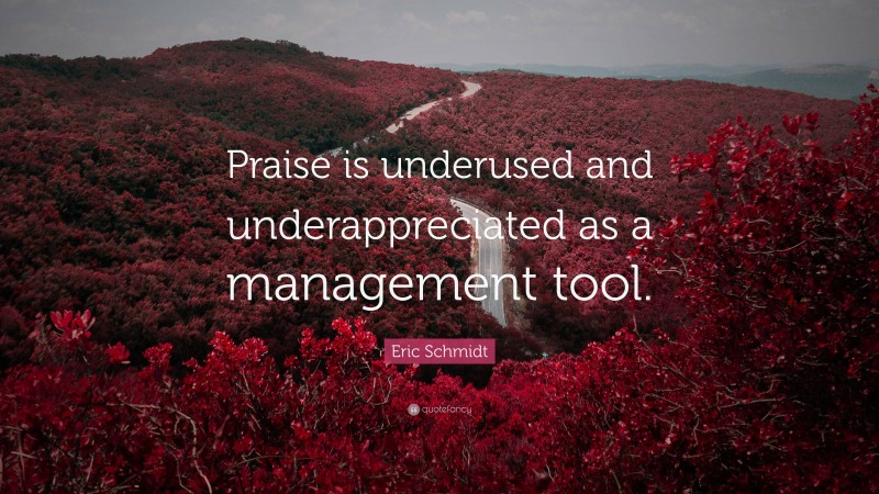 Eric Schmidt Quote: “Praise is underused and underappreciated as a management tool.”