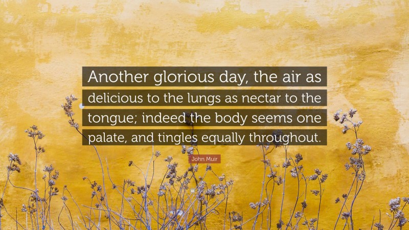 John Muir Quote: “Another glorious day, the air as delicious to the lungs as nectar to the tongue; indeed the body seems one palate, and tingles equally throughout.”