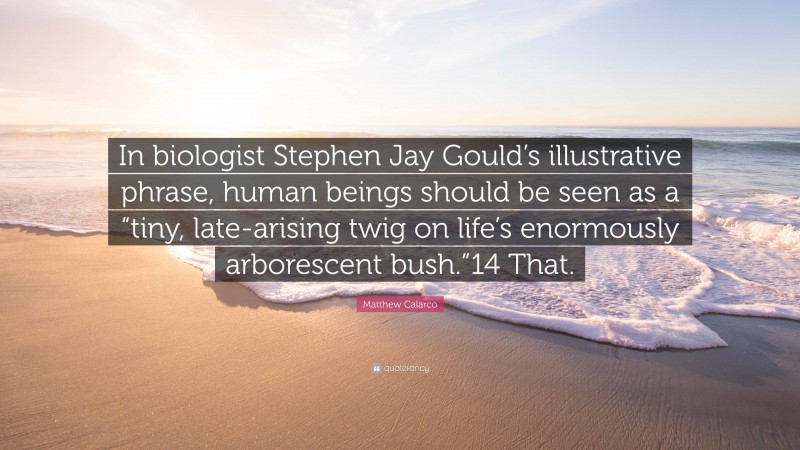 Matthew Calarco Quote: “In biologist Stephen Jay Gould’s illustrative phrase, human beings should be seen as a “tiny, late-arising twig on life’s enormously arborescent bush.”14 That.”