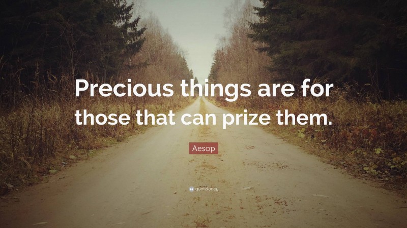 Aesop Quote: “Precious things are for those that can prize them.”