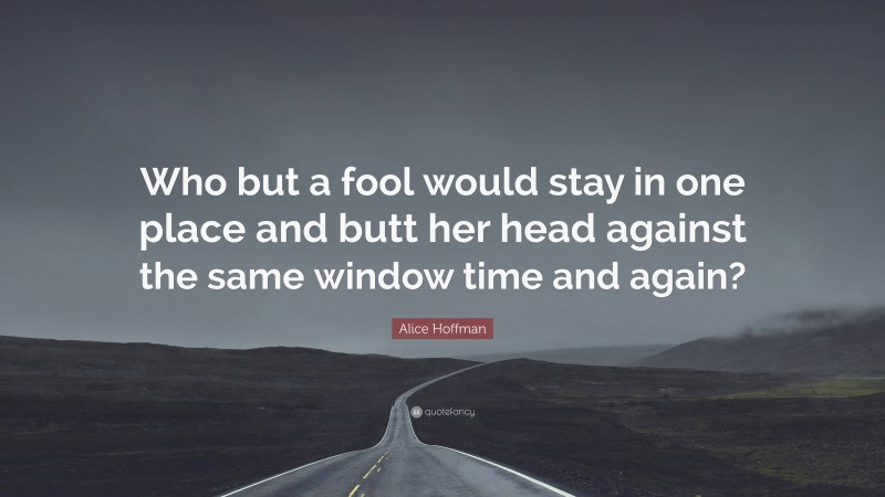 Alice Hoffman Quote: “Who but a fool would stay in one place and butt her head against the same window time and again?”