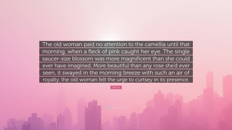 Sarah Jio Quote: “The old woman paid no attention to the camellia until that morning, when a fleck of pink caught her eye. The single saucer-size blossom was more magnificent than she could ever have imagined. More beautiful than any rose she’d ever seen, it swayed in the morning breeze with such an air of royalty, the old woman felt the urge to curtsey in its presence.”