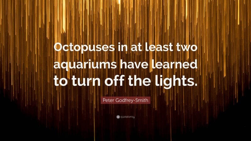Peter Godfrey-Smith Quote: “Octopuses in at least two aquariums have learned to turn off the lights.”