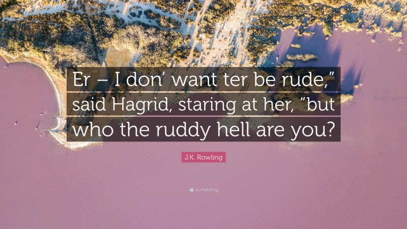J.K. Rowling Quote: “Er – I don’ want ter be rude,” said Hagrid, staring at her, “but who the ruddy hell are you?”