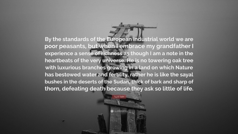 Tayeb Salih Quote: “By the standards of the European industrial world we are poor peasants, but when I embrace my grandfather I experience a sense of richness as though I am a note in the heartbeats of the very universe. He is no towering oak tree with luxurious branches growing in a land on which Nature has bestowed water and fertility, rather he is like the sayal bushes in the deserts of the Sudan, thick of bark and sharp of thorn, defeating death because they ask so little of life.”