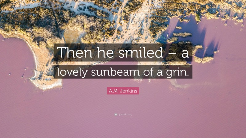 A.M. Jenkins Quote: “Then he smiled – a lovely sunbeam of a grin.”