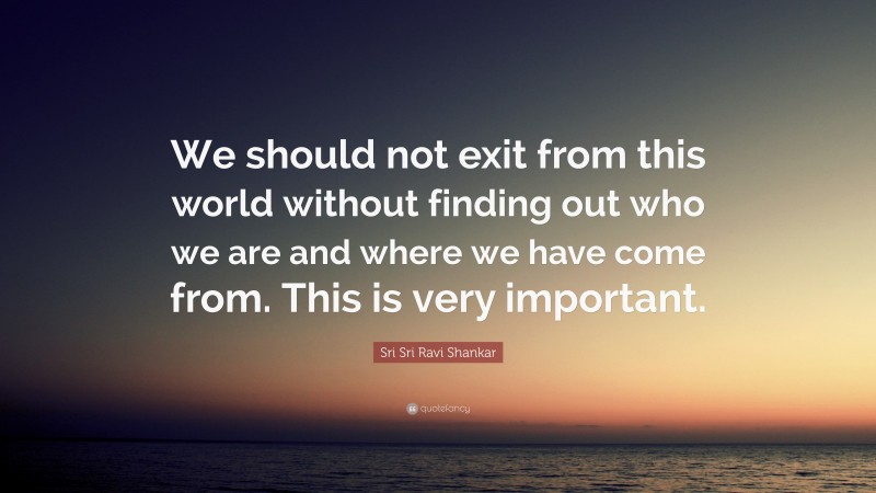 Sri Sri Ravi Shankar Quote: “We should not exit from this world without finding out who we are and where we have come from. This is very important.”