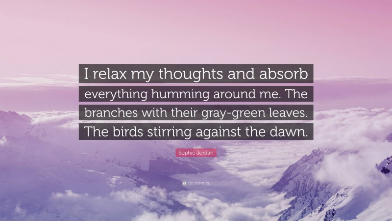 Sophie Jordan Quote: “I relax my thoughts and absorb everything humming around me. The branches with their gray-green leaves. The birds stirring against the dawn.”