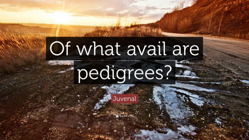 Juvenal Quote: “Of what avail are pedigrees?”