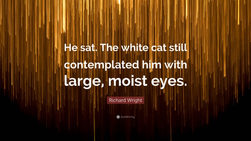 Richard Wright Quote: “He sat. The white cat still contemplated him with large, moist eyes.”