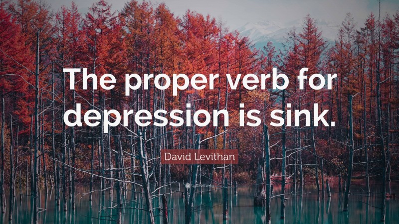 David Levithan Quote: “The proper verb for depression is sink.”