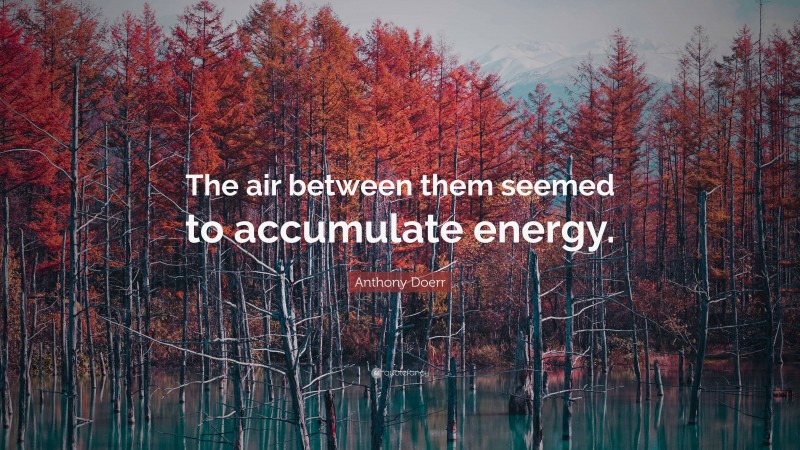Anthony Doerr Quote: “The air between them seemed to accumulate energy.”