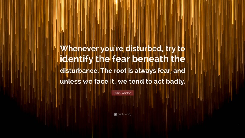 John Verdon Quote: “Whenever you’re disturbed, try to identify the fear beneath the disturbance. The root is always fear, and unless we face it, we tend to act badly.”
