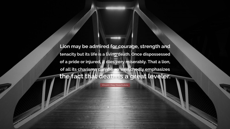 Vincent Okay Nwachukwu Quote: “Lion may be admired for courage, strength and tenacity but its life is a living death. Once dispossessed of a pride or injured, it dies very miserably. That a lion, of all its charisma can die so wretchedly emphasizes the fact that death is a great leveler.”