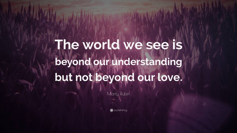 Marty Rubin Quote: “The world we see is beyond our understanding but not beyond our love.”