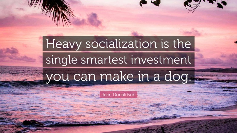 Jean Donaldson Quote: “Heavy socialization is the single smartest investment you can make in a dog.”