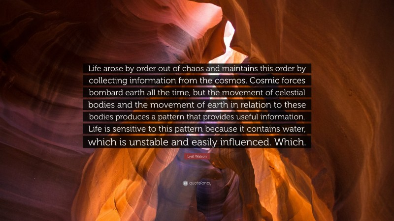 Lyall Watson Quote: “Life arose by order out of chaos and maintains this order by collecting information from the cosmos. Cosmic forces bombard earth all the time, but the movement of celestial bodies and the movement of earth in relation to these bodies produces a pattern that provides useful information. Life is sensitive to this pattern because it contains water, which is unstable and easily influenced. Which.”