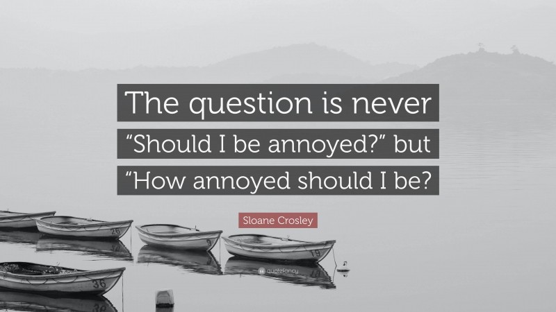 Sloane Crosley Quote: “The question is never “Should I be annoyed?” but “How annoyed should I be?”