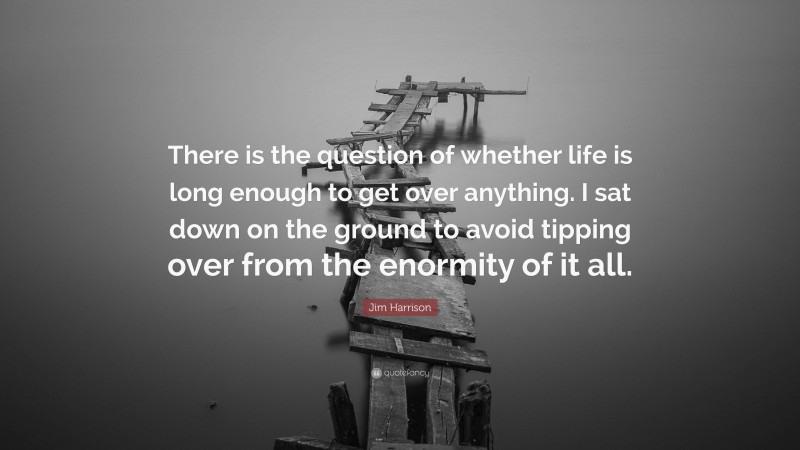 Jim Harrison Quote: “There is the question of whether life is long enough to get over anything. I sat down on the ground to avoid tipping over from the enormity of it all.”