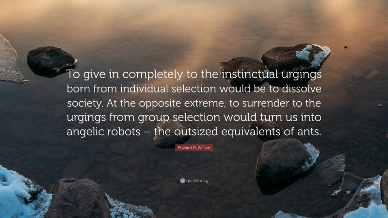 Edward O. Wilson Quote: “To give in completely to the instinctual urgings born from individual selection would be to dissolve society. At the opposite extreme, to surrender to the urgings from group selection would turn us into angelic robots – the outsized equivalents of ants.”