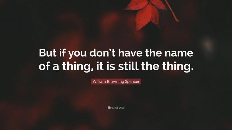 William Browning Spencer Quote: “But if you don’t have the name of a thing, it is still the thing.”