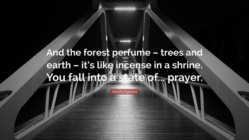 Keiichi Sigsawa Quote: “And the forest perfume – trees and earth – it’s like incense in a shrine. You fall into a state of... prayer.”