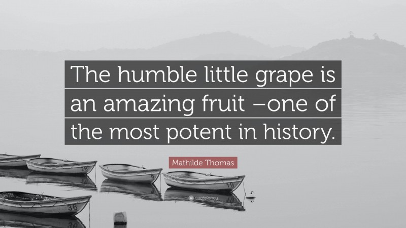Mathilde Thomas Quote: “The humble little grape is an amazing fruit –one of the most potent in history.”