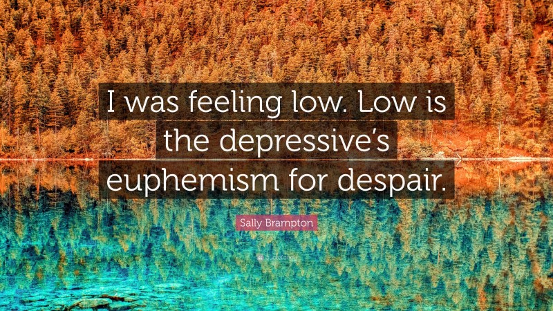 Sally Brampton Quote: “I was feeling low. Low is the depressive’s euphemism for despair.”