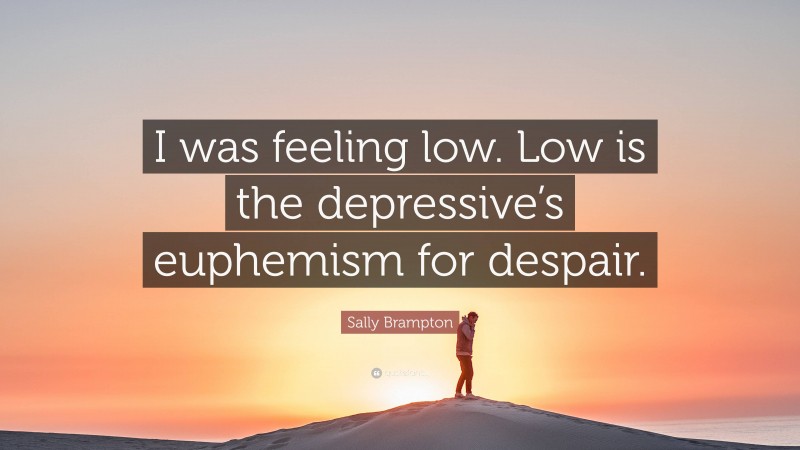 Sally Brampton Quote: “I was feeling low. Low is the depressive’s euphemism for despair.”