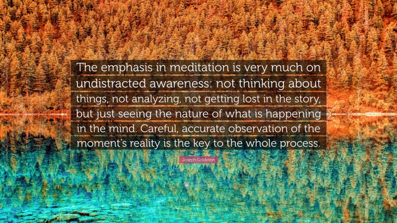 Joseph Goldstein Quote: “The emphasis in meditation is very much on undistracted awareness: not thinking about things, not analyzing, not getting lost in the story, but just seeing the nature of what is happening in the mind. Careful, accurate observation of the moment’s reality is the key to the whole process.”