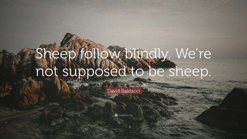David Baldacci Quote: “Sheep follow blindly. We’re not supposed to be sheep.”