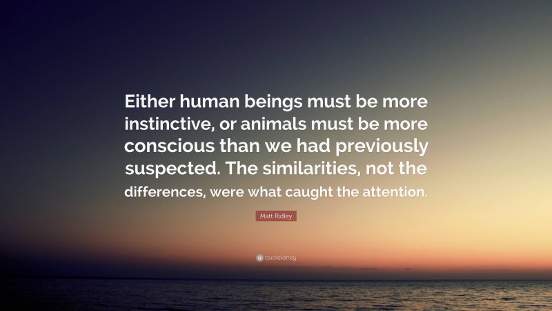 Matt Ridley Quote: “Either human beings must be more instinctive, or animals must be more conscious than we had previously suspected. The similarities, not the differences, were what caught the attention.”