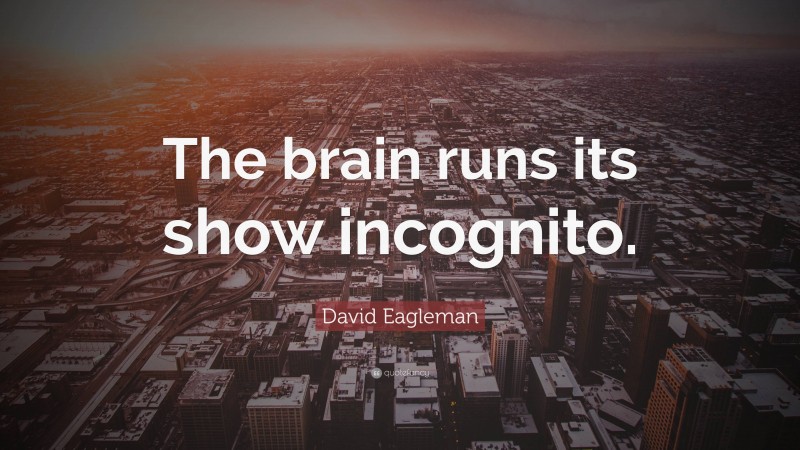 David Eagleman Quote: “The brain runs its show incognito.”