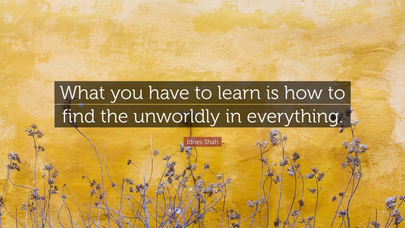 Idries Shah Quote: “What you have to learn is how to find the unworldly in everything.”